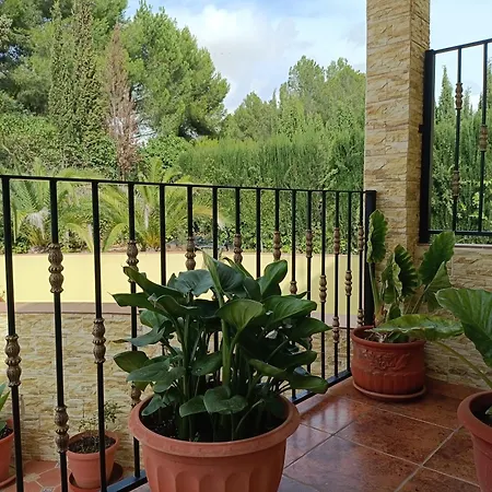 Con Piscina Pinoso
