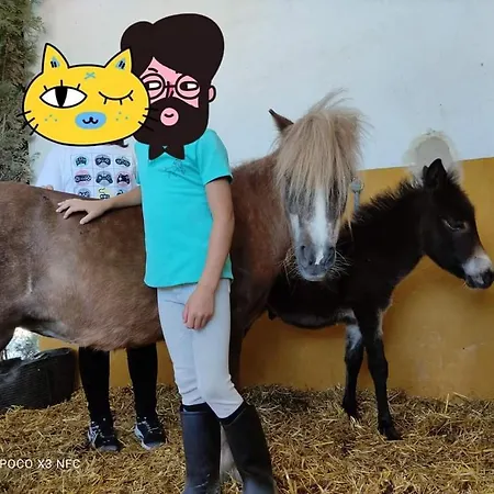 Con Piscina * Pinoso
